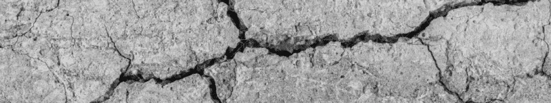 COVID-19 Exposes Cracks in the Status Quo
