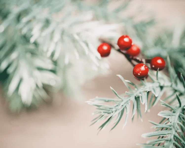 Inovia 2020 in a Snapshot & Happy Holidays!