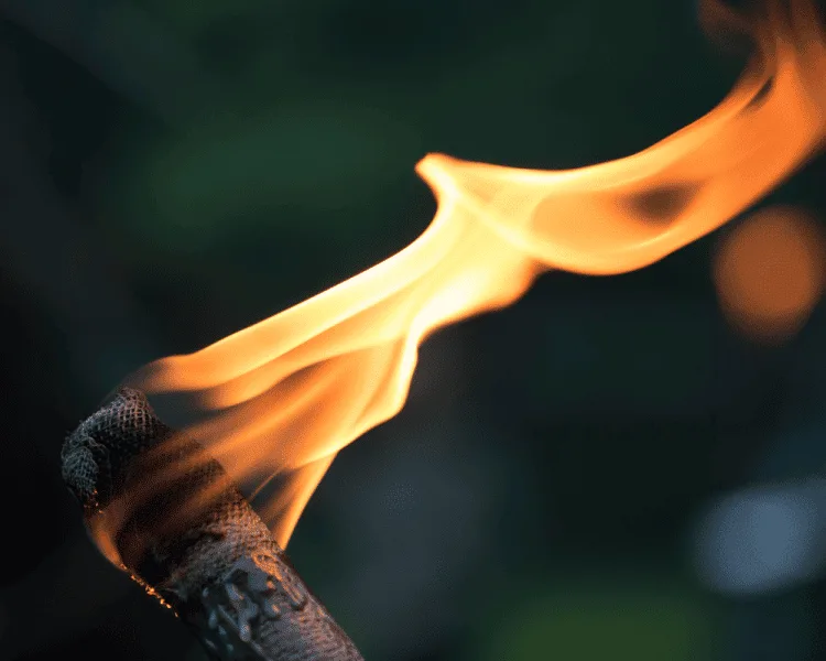 Passing on the CFO Torch